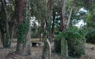 ‘RENÉ’ – Terrain à construire de 2 000m2